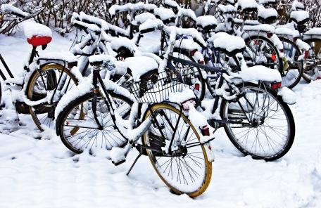 Bild: Radfahren ist in ? auch in der kälteren Jahreszeit
