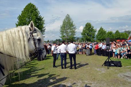 Bild: 