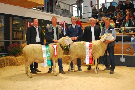 Bild: 