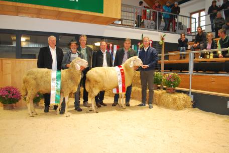 Bild: 