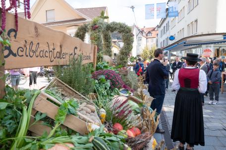Bild: 