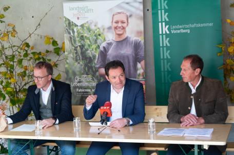 Bild: 