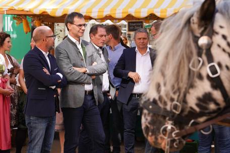 Bild: 
