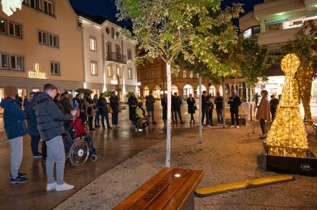 Bild: 