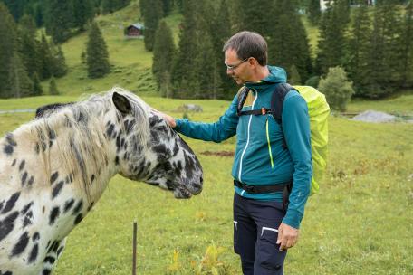 Bild: 