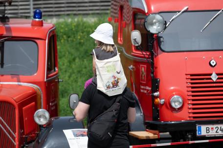Bild: 