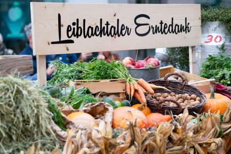 Bild: 