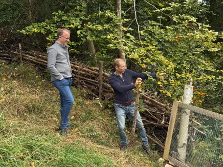 Bild: 
