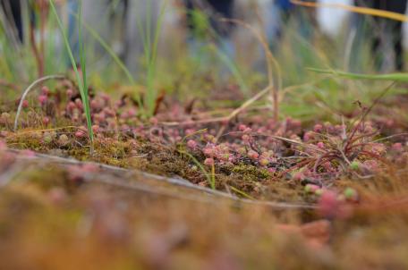 Bild: Zukunftsgrün-Gemeinden zeigen auf, wie Kreislaufwirtschaft gelingt 