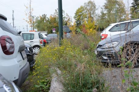 Bild: Zukunftsgrün-Gemeinden zeigen auf, wie Kreislaufwirtschaft gelingt 