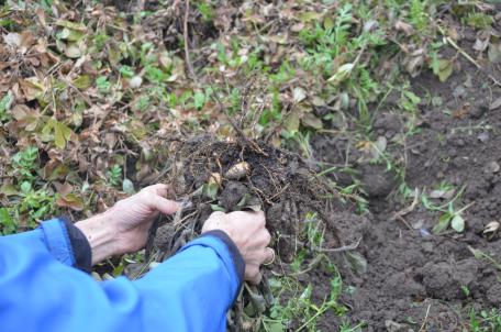 Bild: Zukunftsgrün-Gemeinden zeigen auf, wie Kreislaufwirtschaft gelingt 