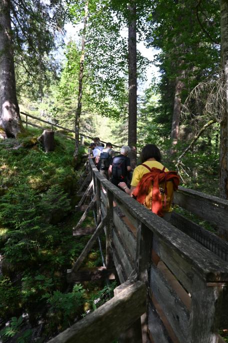 Bild: Großes Interesse bei den Biotopexkursionen