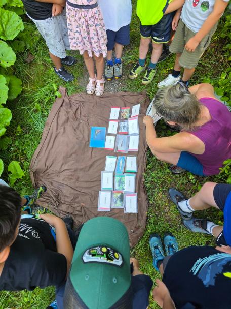 Bild: Großes Interesse bei den Biotopexkursionen