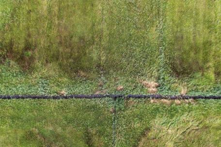 Bild: AMooRe Projektgebiet Gsieg 