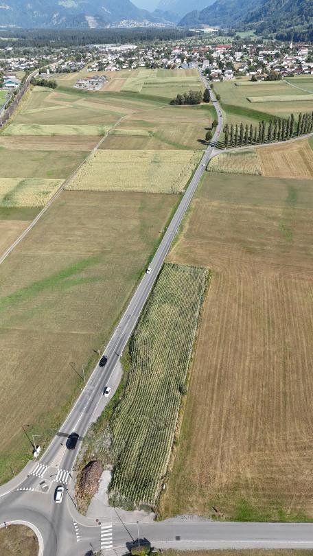 Bild: Verkehrsbehinderungen auf der L 190, Vorarlberger Stra&szlig;e in Nenzing